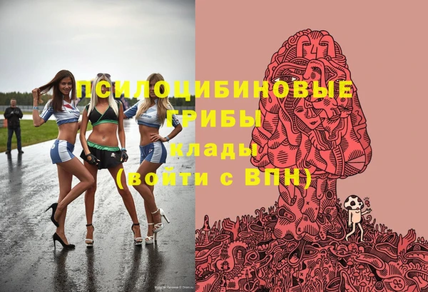 дурь Аркадак