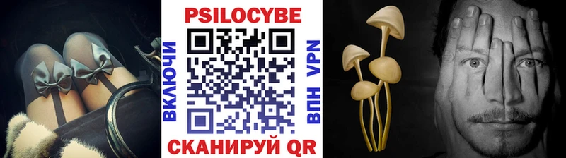 мега маркетплейс  даркнет Telegram  Покров  Псилоцибиновые грибы мицелий  где можно купить наркотик 