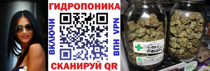 Каннабис сатива Покров